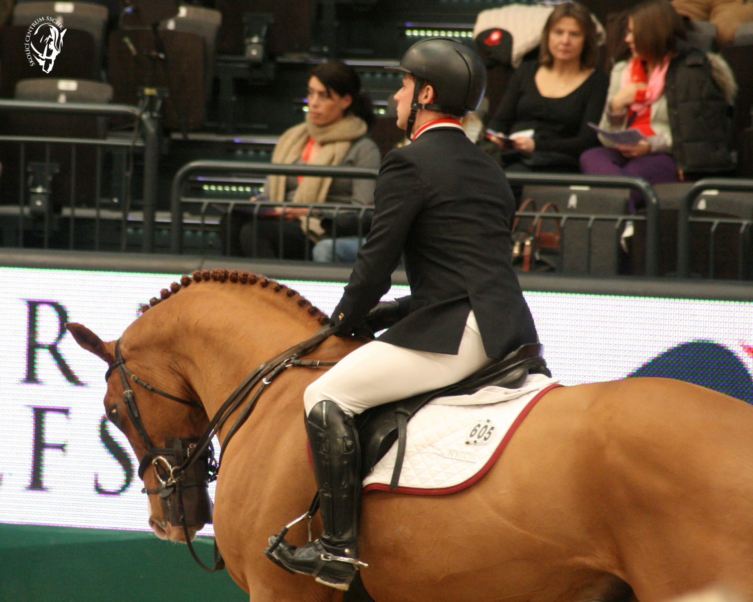 Partner Pferd 2014 Johanes Ehning