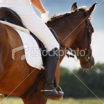 stock-photo-14024547-evening-sun